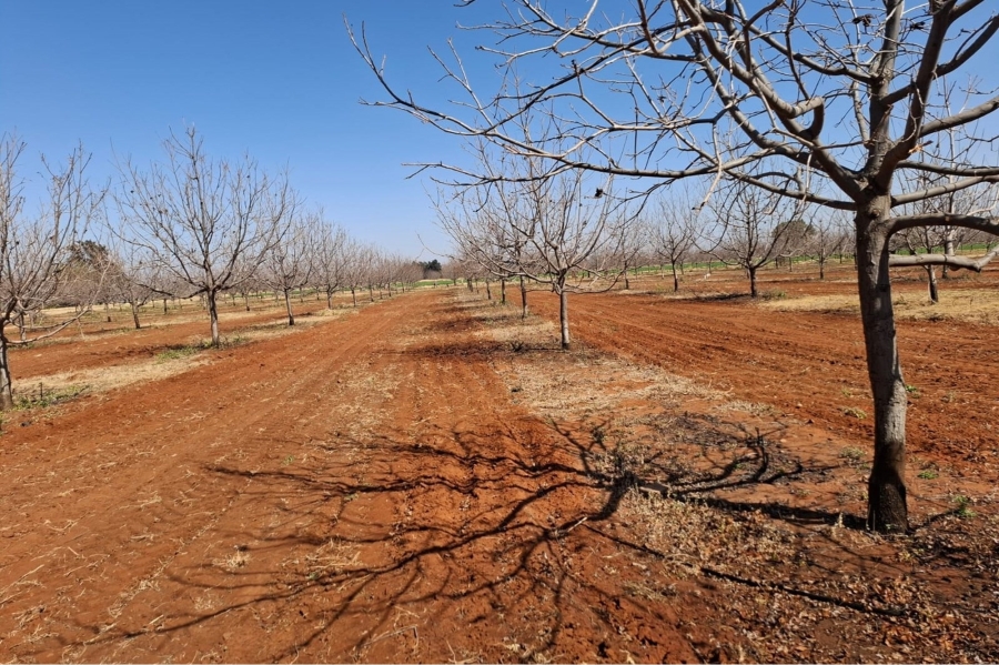 0 Bedroom Property for Sale in Hartswater Northern Cape